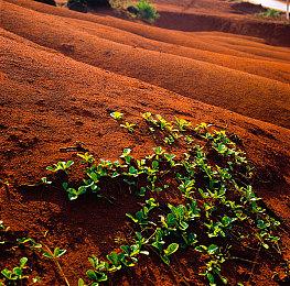 《魂斗罗：加鲁加行动》明年登陆NS 支持双人合作